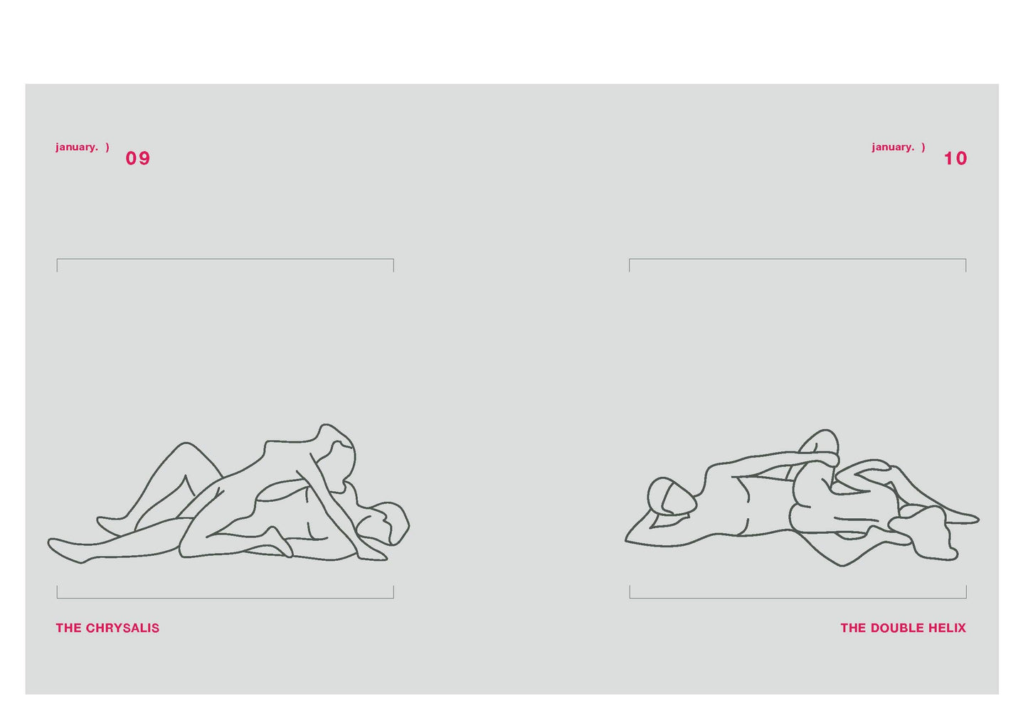 Position of the Day (Revised Edition)