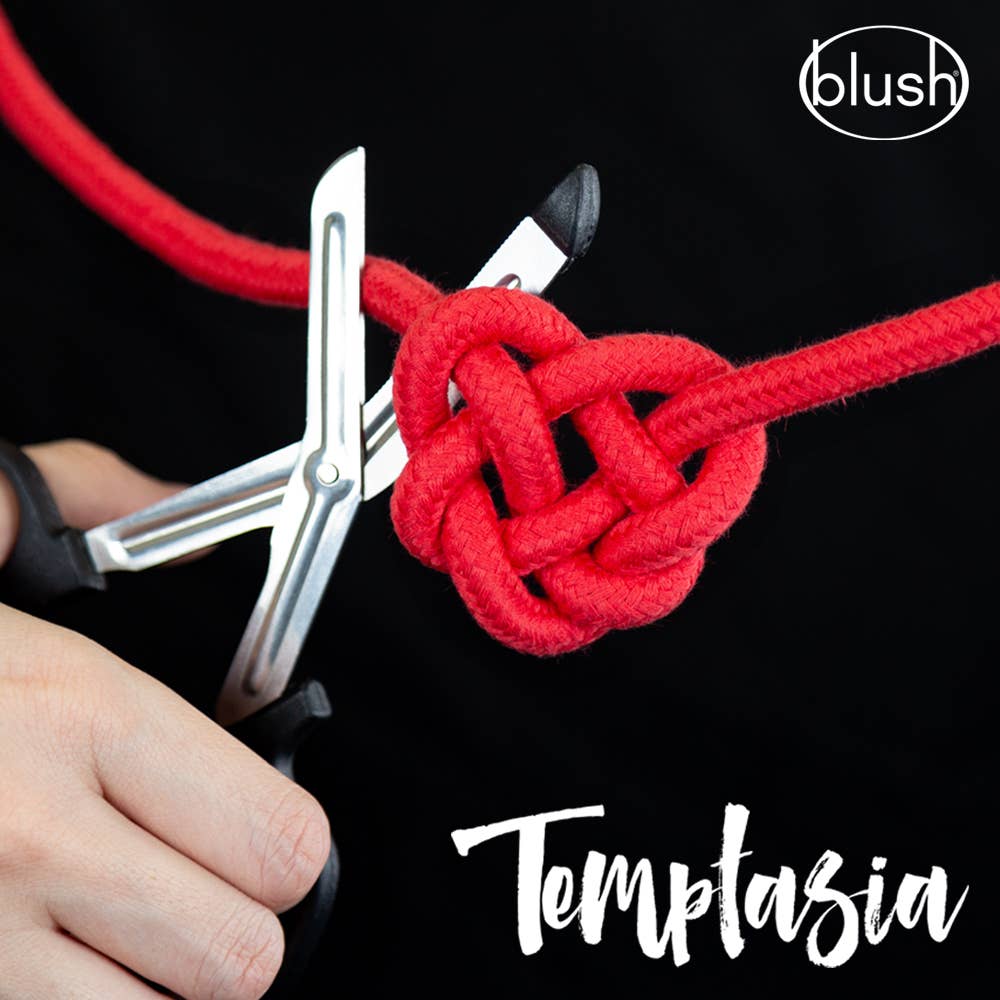 Temptasia - 6.5" Curved Safety Scissors Stainless Steel