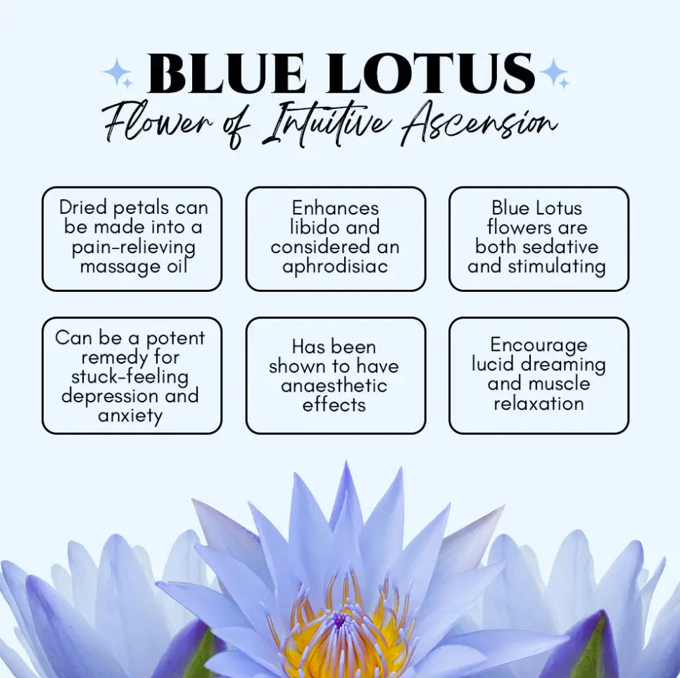 Blue Lotus Ritual Body Oil