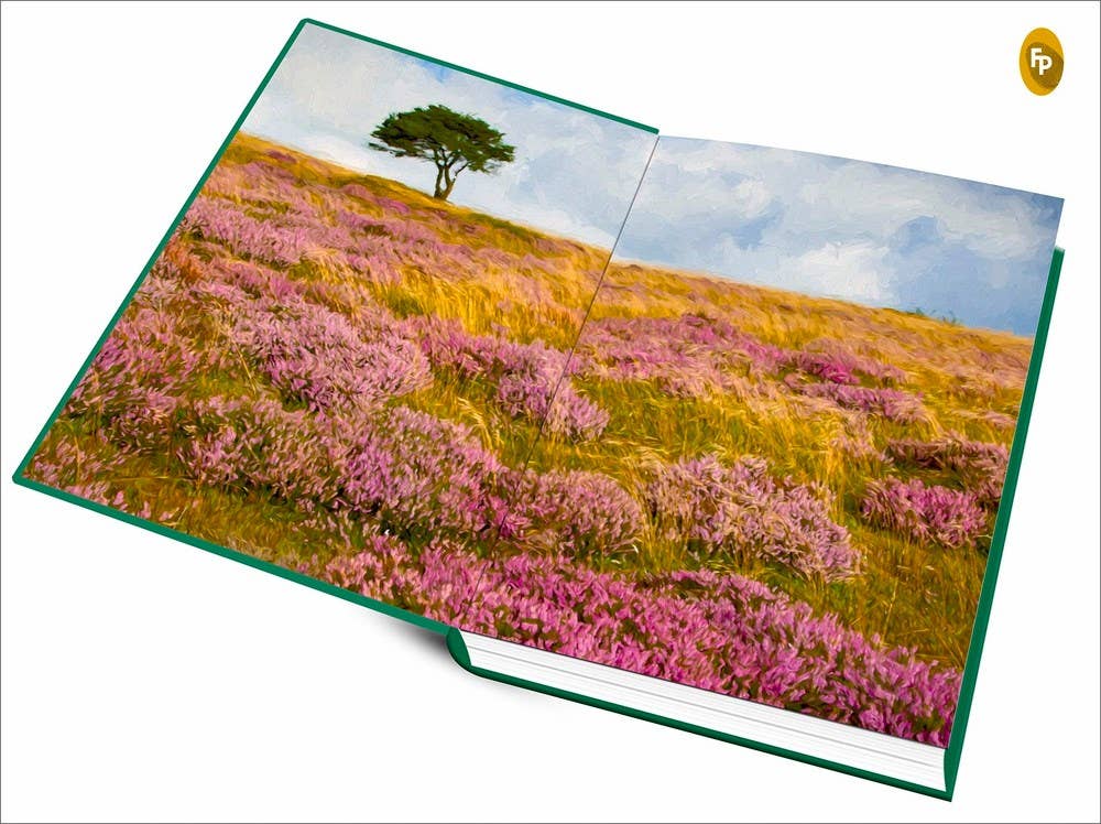 Wuthering Heights (Deluxe Hardbound Edition): 6 x 9 x 1.20 / Hardcover / 408